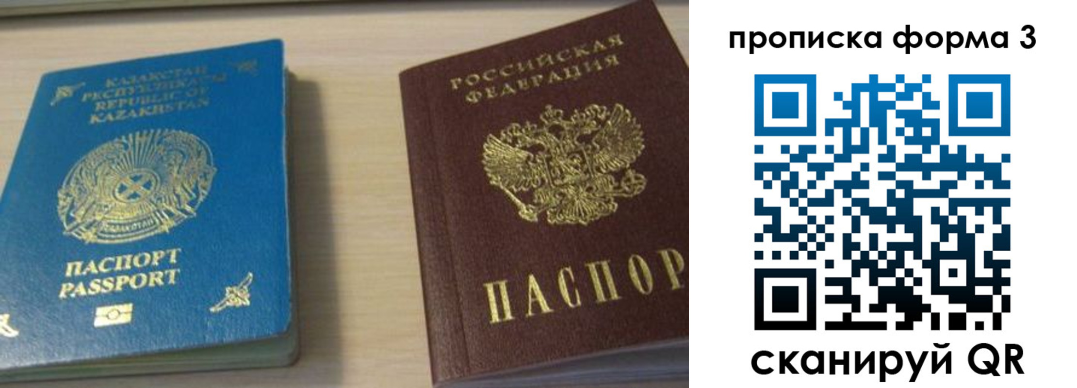 прописка от собственника в Мончегорске