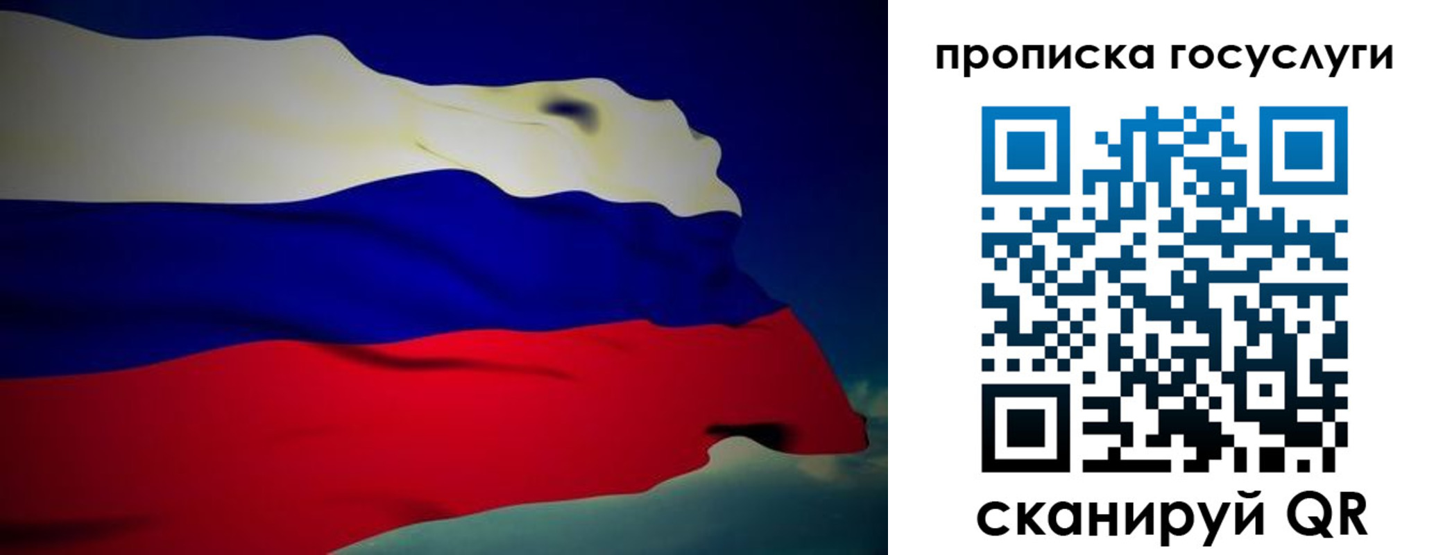 прописка регистрация в Мончегорске